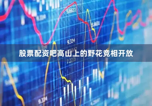 股票配资吧高山上的野花竞相开放